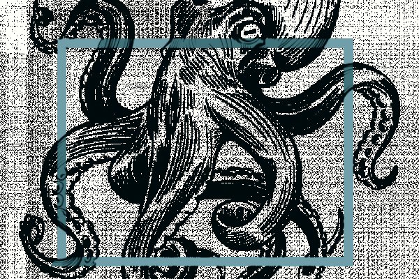 Кракен даркнет ссылка kraken link24 info