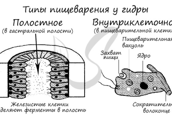 Кракен даркнет маркетплейс