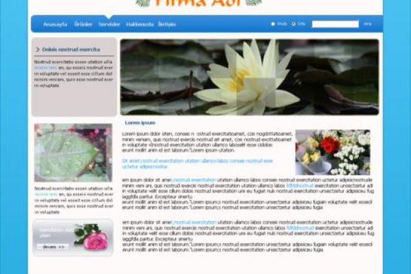 Сайт вместо гидры