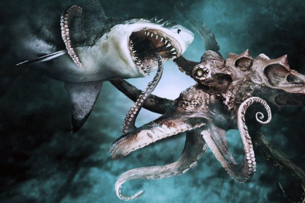 Ссылка для входа на сайт kraken