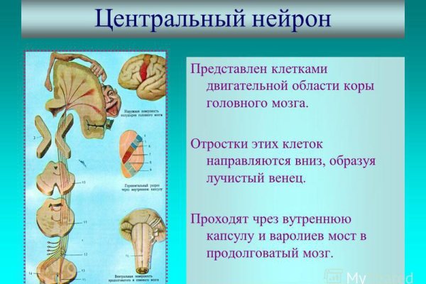 Кракен даркнет зеркало