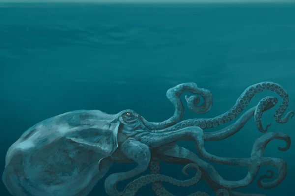 Kraken ссылки актуальные 2025 г