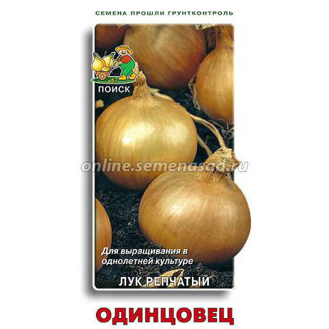 Кракен открылся