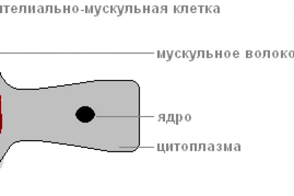 Кракен наркошоп сайт