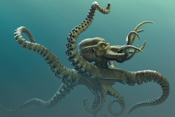 Площадка кракен kraken dark link